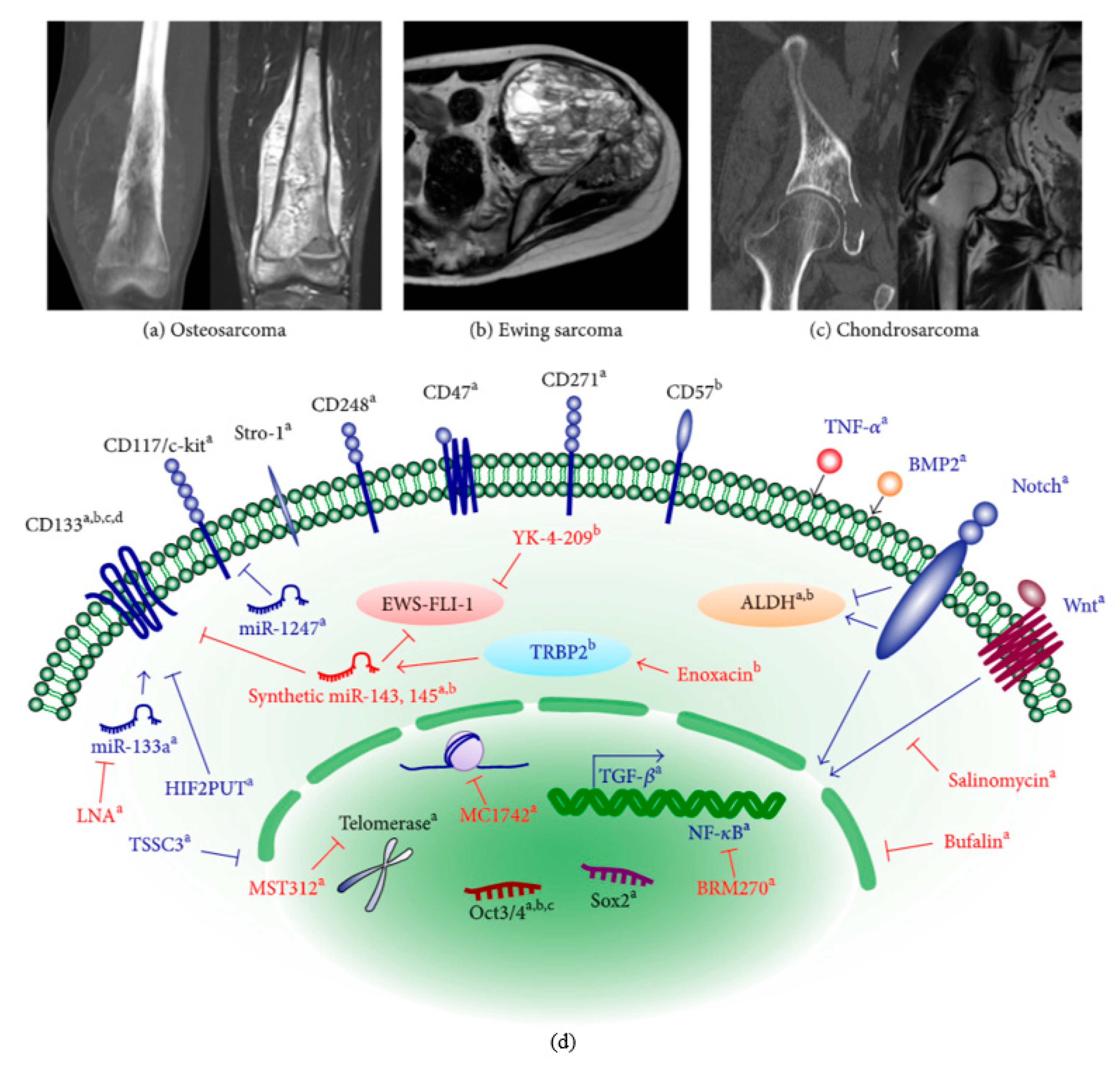 若本图无法展示,请更换浏览器查看