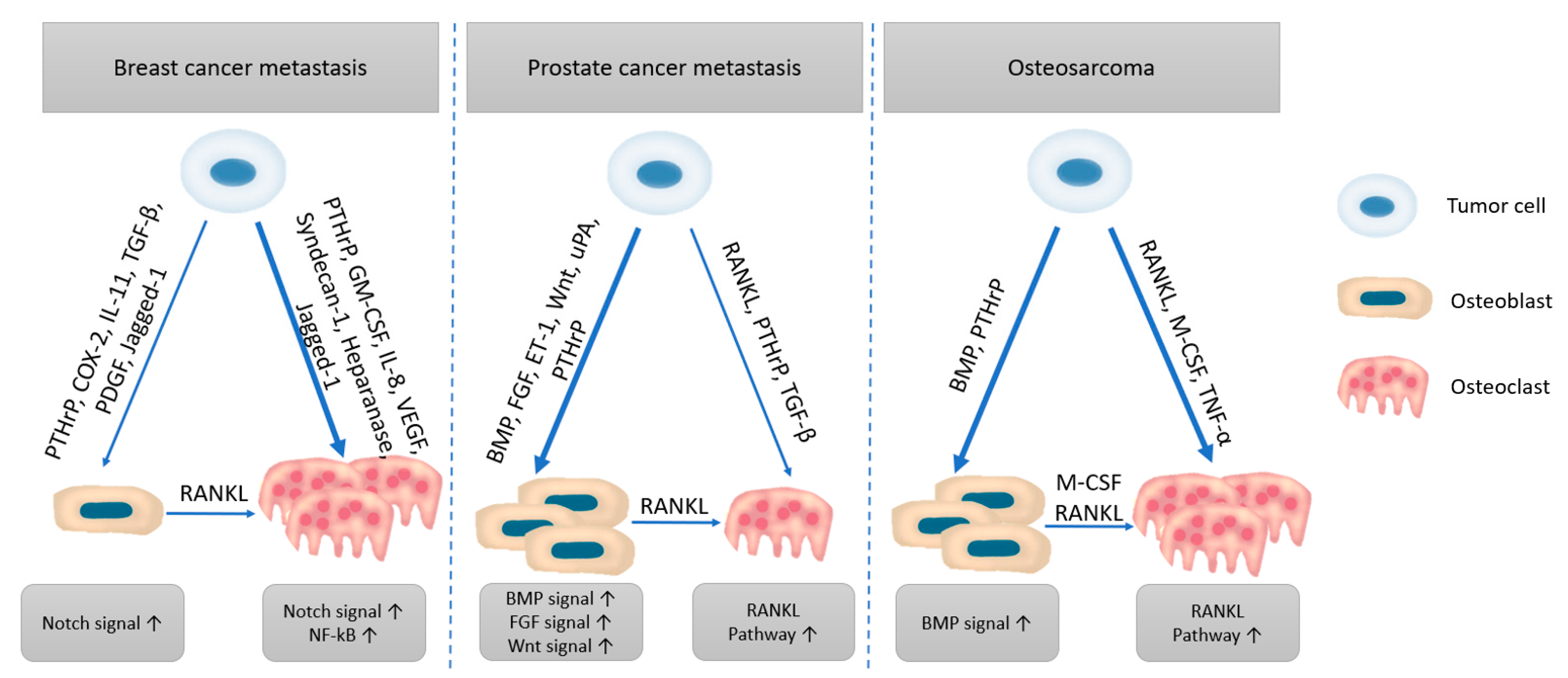 若本图无法展示,请更换浏览器查看