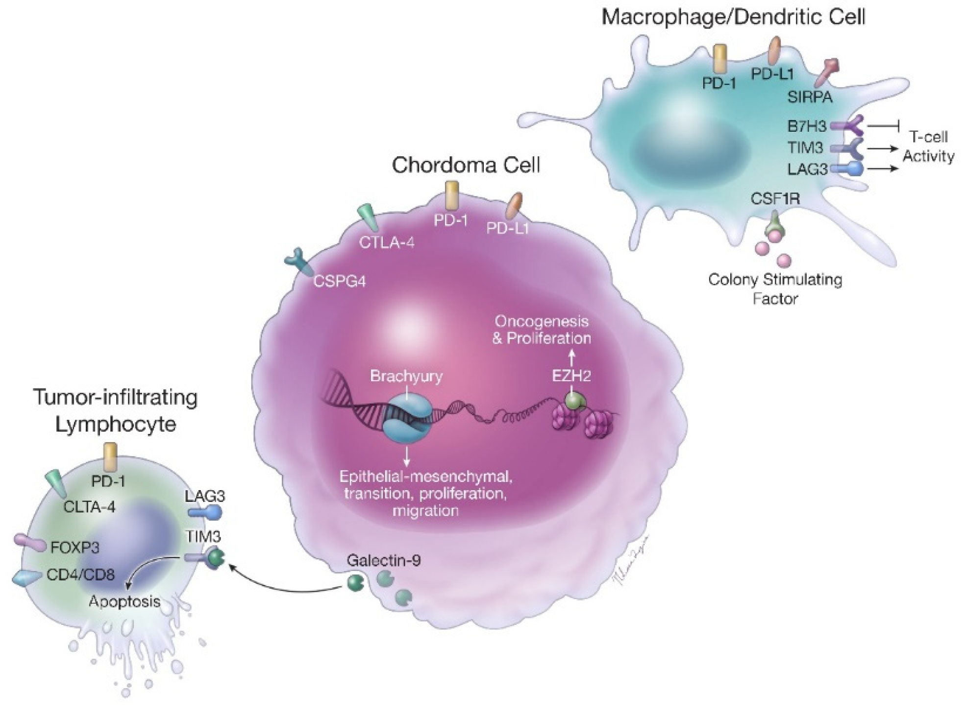 若本图无法展示,请更换浏览器查看