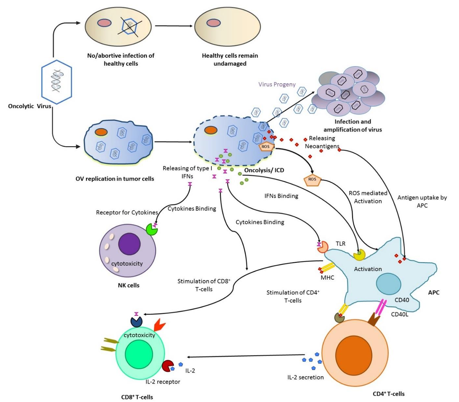 若本图无法展示,请更换浏览器查看