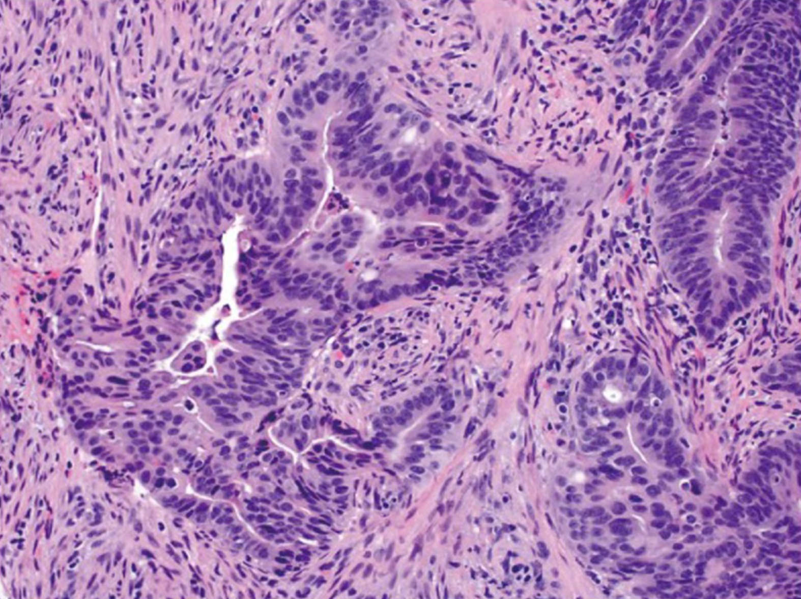 若本图无法展示,请更换浏览器查看