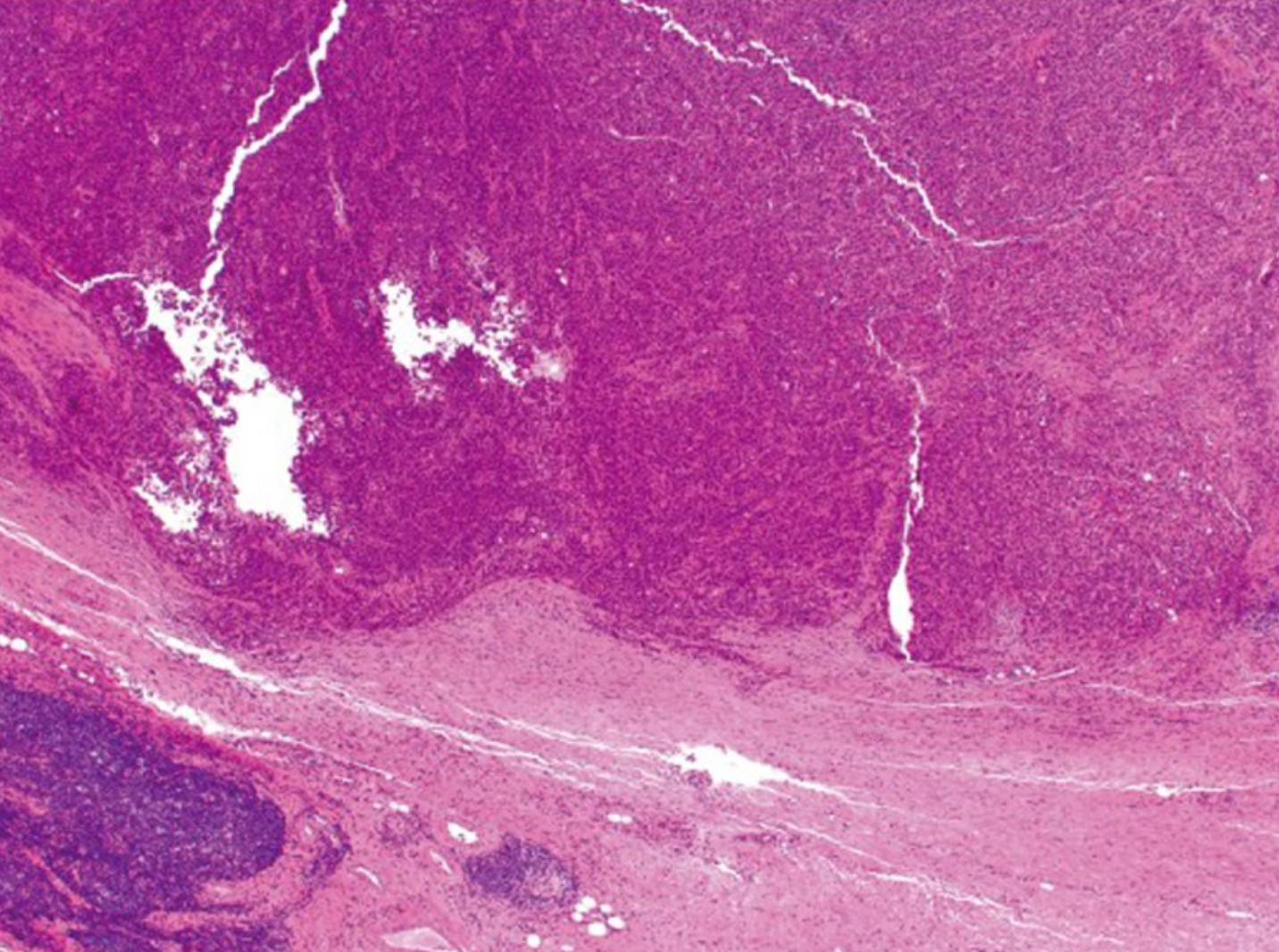若本图无法展示,请更换浏览器查看
