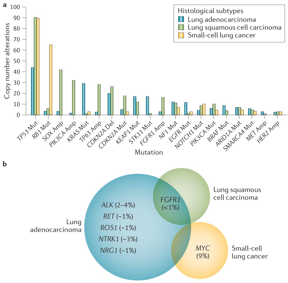 若本图无法展示,请更换浏览器查看