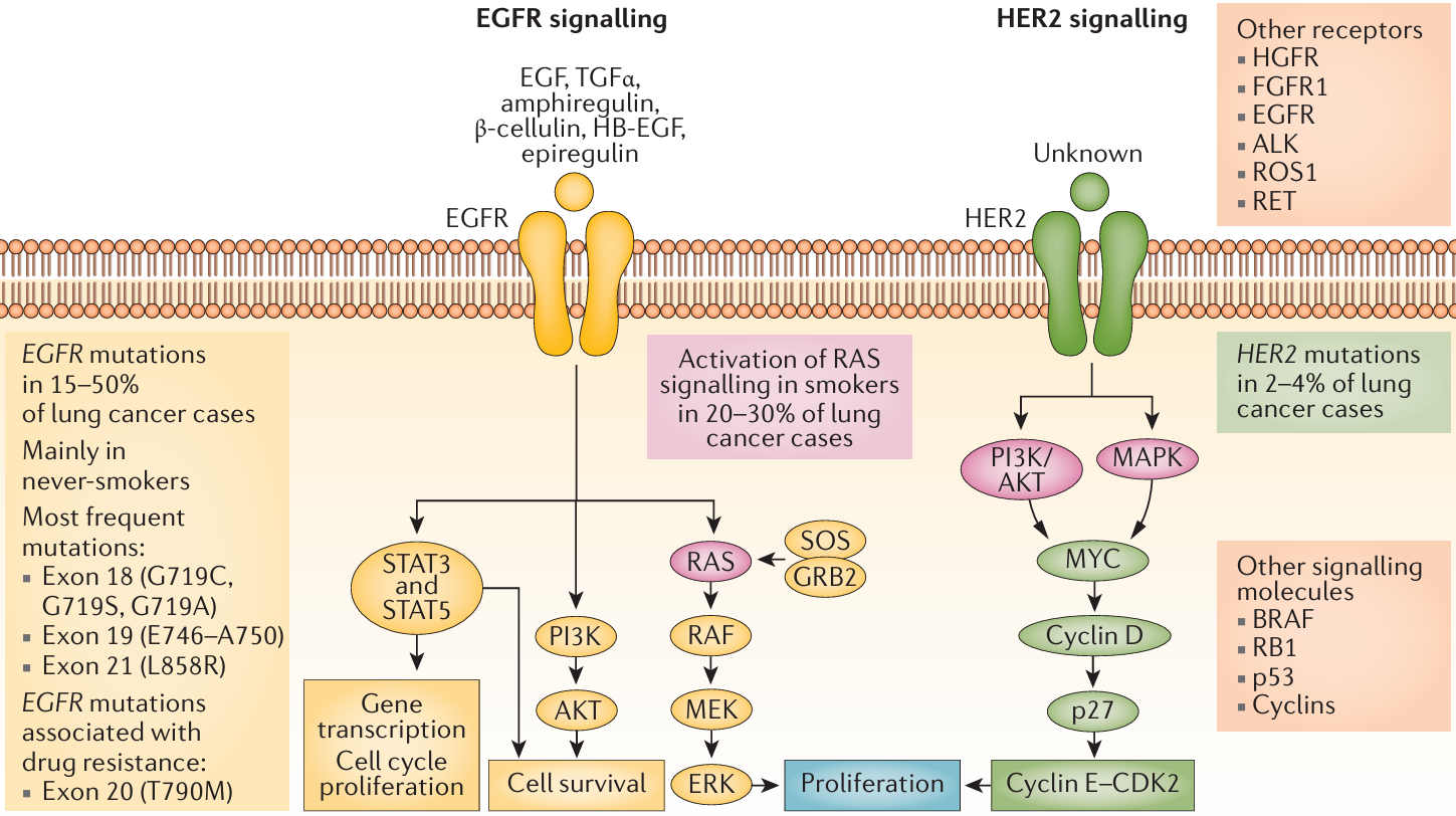 若本图无法展示,请更换浏览器查看