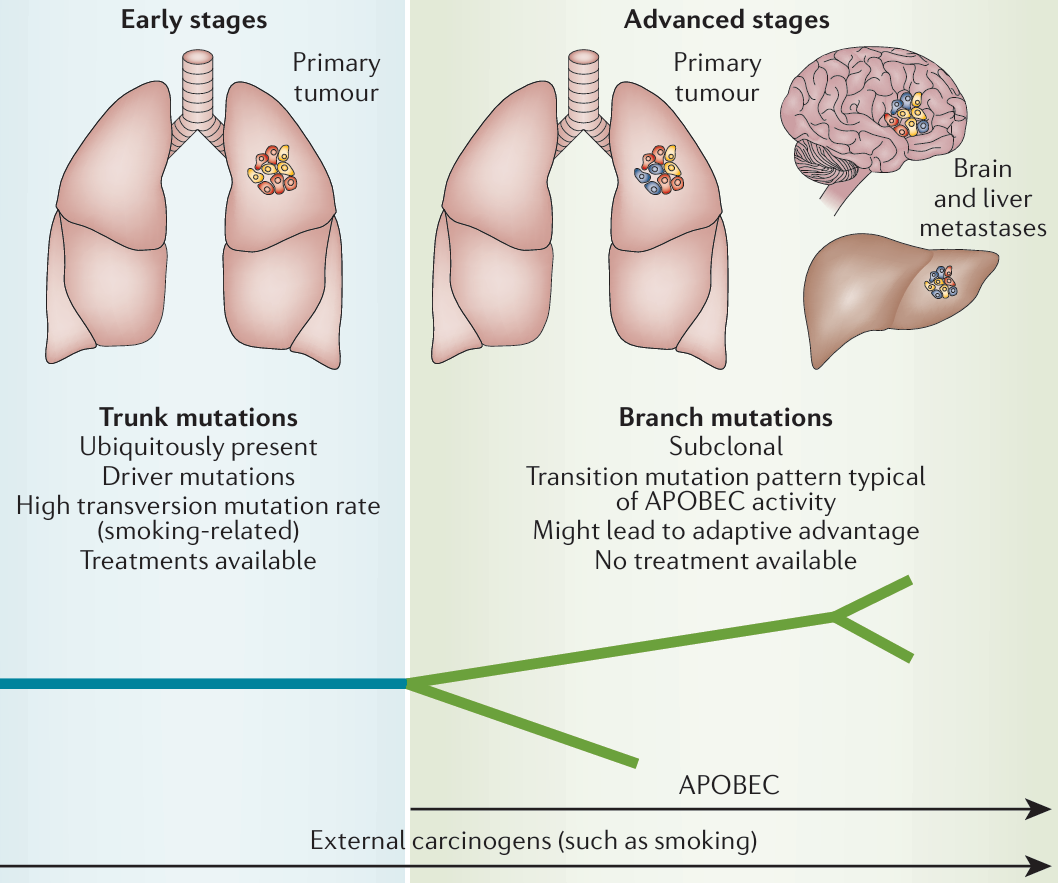 若本图无法展示,请更换浏览器查看