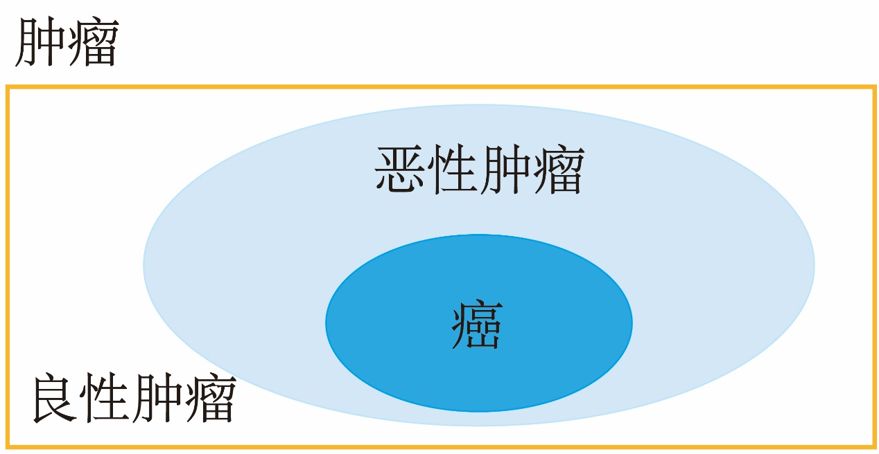 若本图无法展示,请更换浏览器查看