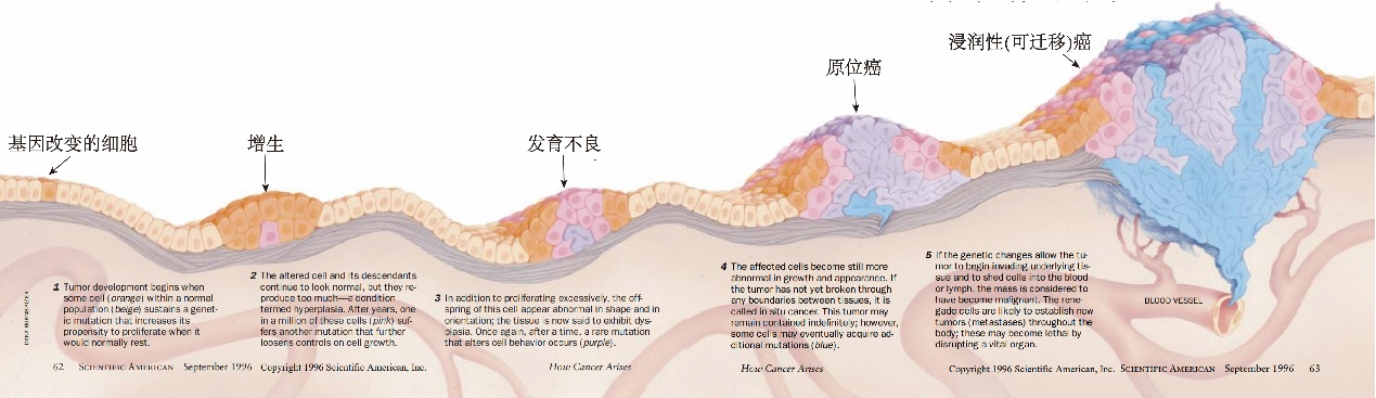 若本图无法展示,请更换浏览器查看